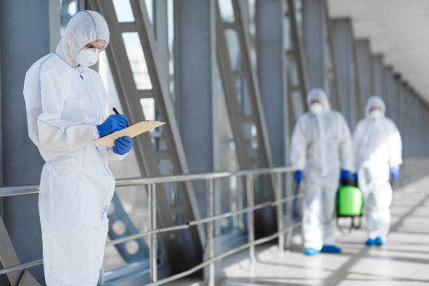 Best Basement Mold Removal  in Poolesville, MD