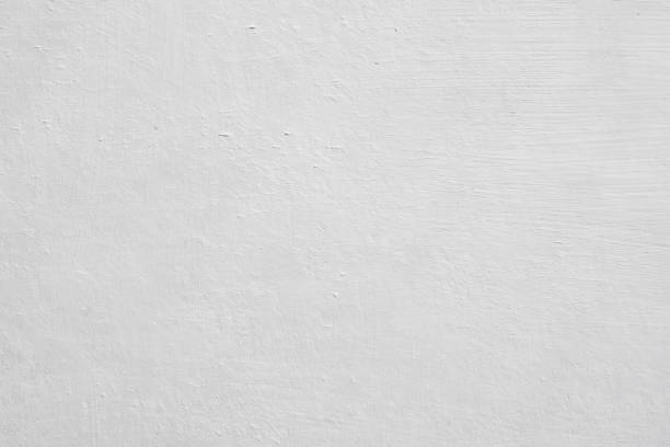 Professional Mold Removal in Poolesville, MD