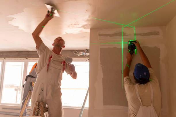 Best Mold Odor Removal Services  in Poolesville, MD