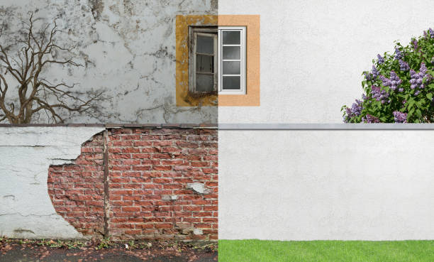 Best Basement Mold Removal  in Poolesville, MD