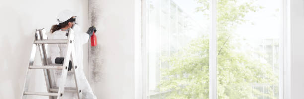 Best Emergency Mold Remediation  in Poolesville, MD