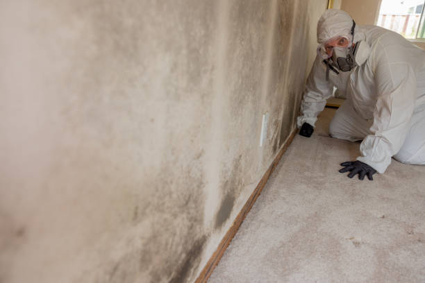 Best Mold Remediation for Healthcare Facilities  in Poolesville, MD